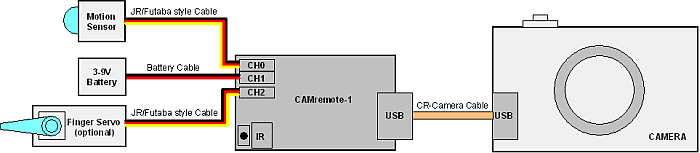 Motion Sensor